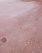 Aerial view a lonely person stood on pink salt flats of Lake Bumbunga Salt Lake, South Australia