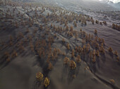 Aerial view of a landscape covered with eruption black ashes from Cumbre Vieja, a Volcano in La Palma island, Canary Islands, Spain.