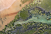 Luftaufnahme des Ngamakoon Creek, umgeben von üppigem Wald und unberührtem Wasser, Dampier-Halbinsel, Kimberley-Region, Australien