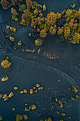 Aerial view of a landscape covered with eruption black ashes from Cumbre Vieja, a Volcano in La Palma island, Canary Islands, Spain.