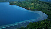 Luftaufnahme einer üppig grünen tropischen Insel mit ruhigem Ozean, Eastern, Fidschi.