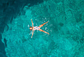 Aerial view of a attractive young woman in swimsuit floating in the sea off Atokos island, Greece