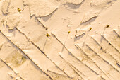 Aerial view of sand on the beach, Taiba, São Gonçalo do Amarante, Ceará, Brazil