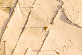 Aerial view of sand on the beach, Taiba, São Gonçalo do Amarante, Ceará, Brazil
