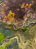Aerial view of Velddrift wetland colourful abstract, Western Cape, South Africa