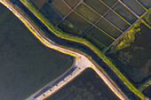 Aerial view of the patterns and colors of salt evaporation ponds during sunrise time in Aveiro, Portugal