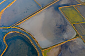 Aerial view of the patterns and colors of salt evaporation ponds during sunrise time in Aveiro, Portugal