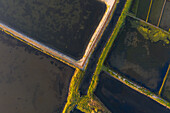 Aerial view of the patterns and colors of salt evaporation ponds during sunrise time in Aveiro, Portugal