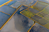 Aerial view of the patterns and colors of salt evaporation ponds during sunrise time in Aveiro, Portugal