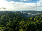 Aerial view of fog over jungle in Halmahera, Indonesia.