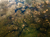 Luftaufnahme der Wasservogelpfade am Main Dam, Drie Kuilen Nature Reserve, Drie Kuilen, Westkap, Südafrika.