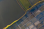 Aerial view of the patterns and colors of salt evaporation ponds during sunrise time in Aveiro, Portugal