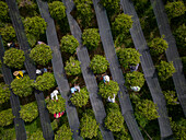 Aerial view of "La Plantation", Kampot province, Cambodia.