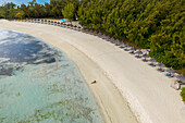 Aerial view of a person walking got the beach at Ile aux Cerfs, a small island along the coast, Mauritius.