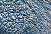 Abstract aerial view of Aletsch Glacier ice formation, Valais, Switzerland.