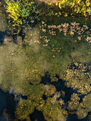 Luftaufnahme der Wasservogelpfade am Main Dam, Drie Kuilen Nature Reserve, Drie Kuilen, Westkap, Südafrika.