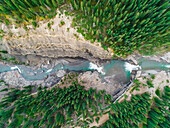 Aerial view above of a waterfall falling between pine tree forest, Alberta, Canada.