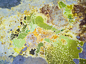 Luftaufnahme der farbenfrohen Hot Springs in Dallol, Äthiopien.