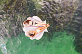 Aerial view of two attractive girls floating at Gordons Bay with inflatable, Sydney. Australia.