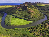 Aerial view of Wailua river in hawaii, USA.