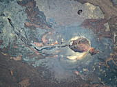 Aerial abstract view of volcanic lava of Faujas crater, Reunion island.