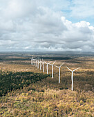 Aerial view of wind turbines in a field with trees in Bras d'Eau National Park, Poste Lafayette, Flacq, Mauritius.