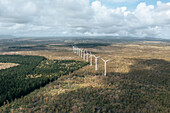 Aerial view of wind turbines in a field with trees in Bras d'Eau National Park, Poste Lafayette, Flacq, Mauritius.