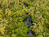 Aerial view of a tranquil river with a boat surrounded by lush palm trees and tropical forest, Philippines.