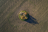Aerial view of an isolated forest in the middle of agricultural fields, Estonia.