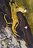 Aerial view of abstract patterns in nature made by algae bloom on coastline in Estonia