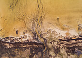 Abstract aerial view of algae bloom in sea on the island of Vormsi in Estonia