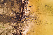 Abstract aerial view of algae bloom in sea on the island of Vormsi in Estonia
