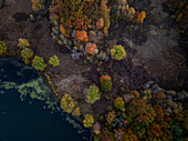 Luftaufnahme des leuchtenden Herbstlaubs und des ruhigen Waldes mit einem ruhigen Gewässer, Dedham, Massachusetts, Vereinigte Staaten.
