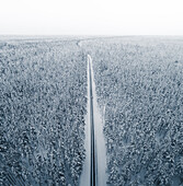 Aerial view of a car on cold winterday driving in a snowy pine forest, Lahemaa National Park, Harjumaa, Estonia.