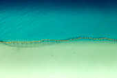 Luftaufnahme einer Drohne von einer Haisperre in Cottesloe Beach, Westaustralien.