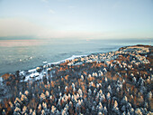 Aerial view of a house surrounded by forest on the coast in Estonia during winter.