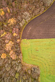 Aerial view of a separation between two different colored fields in Estonia.