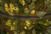 Aerial view of an empty road crossing the nordic colorful forest at fall in Estonia.