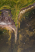 Aerial view of the rocky coast on Vormsi Island, Estonia.