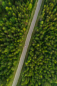 Aerial view of road with a car going through forest in Estonia.