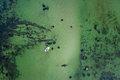 Aerial view of two people fishing in a small wooden boat in the middle of the green baltic sea in Estonia.