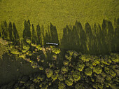 Aerial view of farmland in countryside of Estonia.