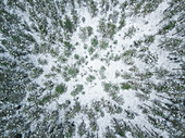 Aerial view of a person lying in the middle of the snowy forest in Polliku in Estonia.