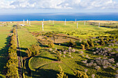 Aerial view of the Hawi Wind Farm, Hawi, North Kohala, Hawaii Island, Hawaii, United States.