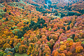 Luftaufnahme eines Waldes mit grünen, gelben und orangefarbenen Bäumen während der Herbstzeit, Aiguillier-Massiv, Orcival, Rochefort Montagne, Puy de dome, Auvergne, Frankreich