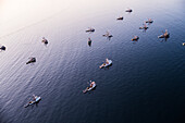 Aerial view of purse seine fishing boats, Sitka Sound, Sitka, Alaska, USA