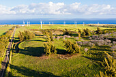 Aerial view of the Hawi Wind Farm, Hawi, North Kohala, Hawaii Island, Hawaii, United States.