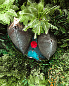 Aerial view of Jungle Villa in Payangan, Gianyar, Bali, Indonesia.