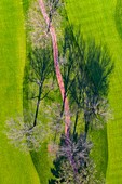 Aerial view of a treetops in early spring creating an abstract looking perspective at the Naperville Country Club in Napervile, IL - USA