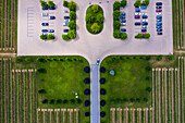 Aerial view of a small parking lot next to the vineyard near the Lake Ontario, Canada.